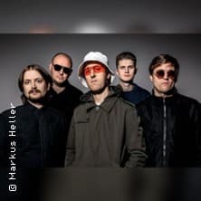 Oases - The Oasis Experience