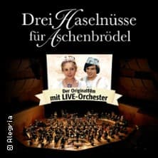 Ausgehfuchs Banner